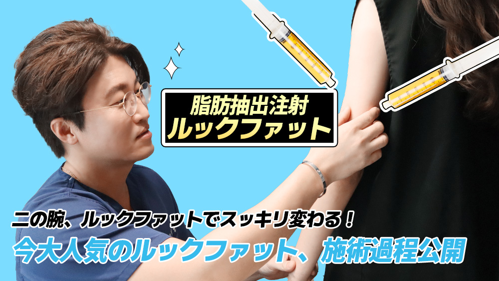 セイイエスとともに整形、Story