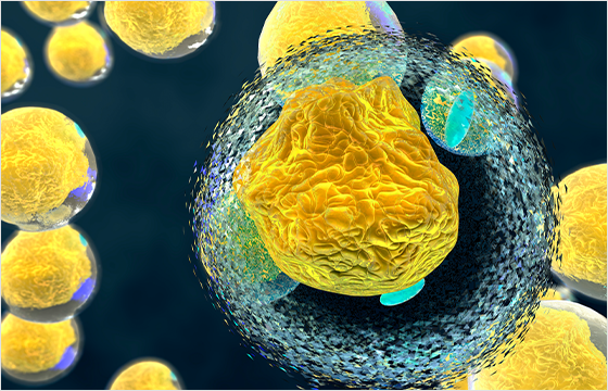 DCAキツネ注射の主成分