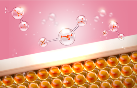 コラーゲンの合成を誘導