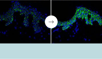 潤い感のアップ