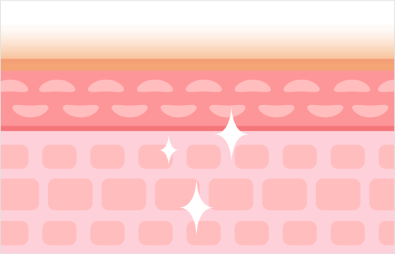 新しい細胞が生成され、健康でハリのある肌へと改善されます。