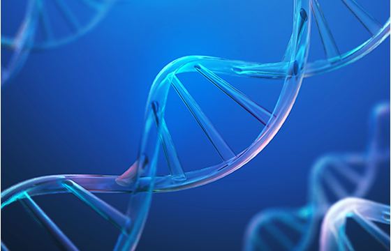 송어 및 연어에게서 추출한 DNA를 정제해 PN 생산