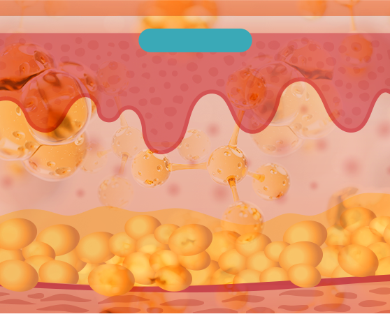 수분 공급, 콜라겐 생성 유도. 탄력 및 잔주름 개선