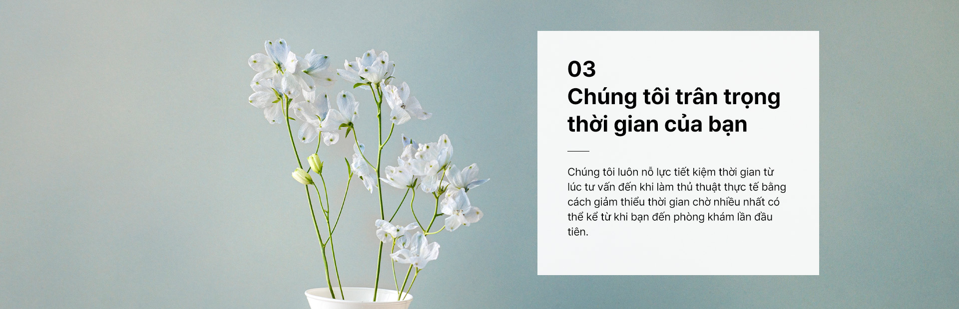 Chúng tôi trân trọng thời gian của bạn