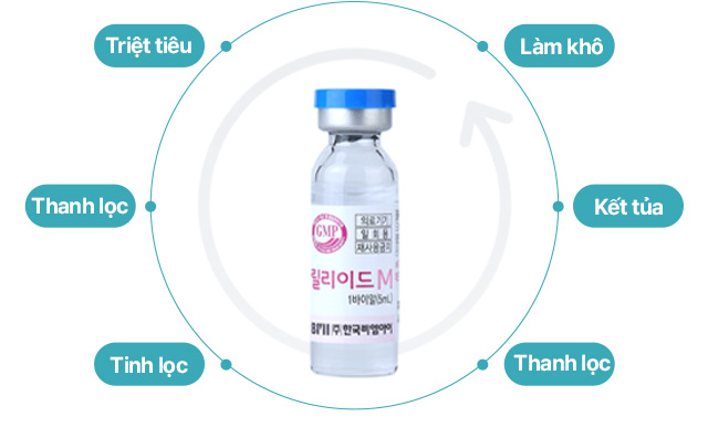 Triệt tiêu / Thanh lọc / Tinh lọc / Thanh lọc / Kết tủa / Làm khô